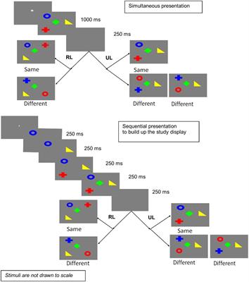 Feature Binding of Sequentially Presented Stimuli in Visual Working Memory